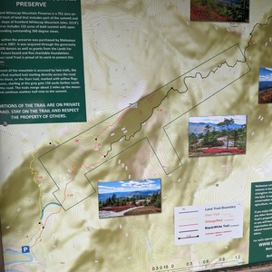 IMG_20200815_124951.jpg