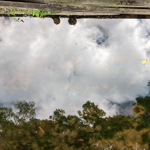 IMG_20200830_105159-edited.jpg