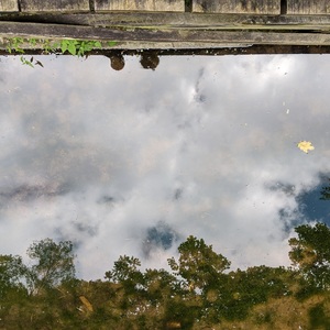 IMG_20200830_105230-edited.jpg