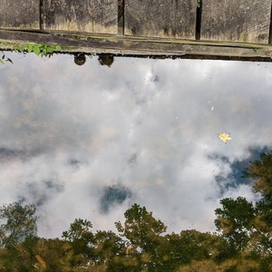 IMG_20200830_105236-edited.jpg