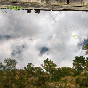IMG_20200830_105247-edited.jpg