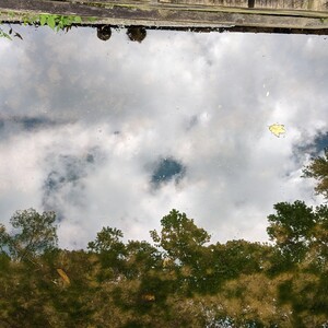 IMG_20200830_105251(1).jpg