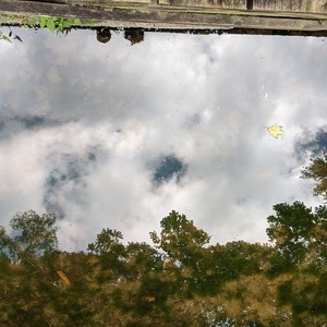 IMG_20200830_105253-edited.jpg