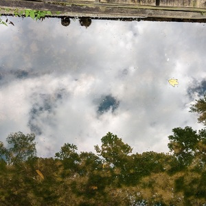 IMG_20200830_105255-edited.jpg