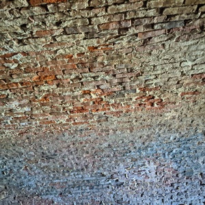 IMG_20200830_105610.jpg