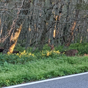 IMG_20200830_185719.jpg