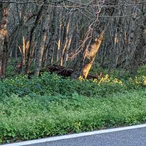 IMG_20200830_185721.jpg