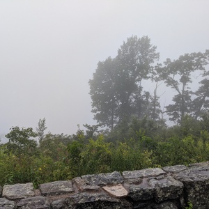 IMG_20200831_101151.jpg