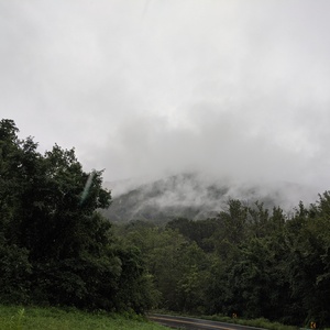 IMG_20200831_110232.jpg
