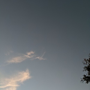 IMG_20200928_190250.jpg
