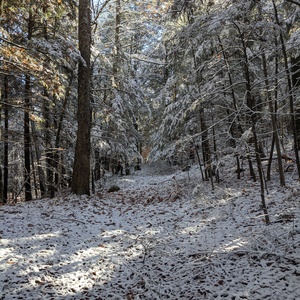 PXL_20201031_152527674.jpg