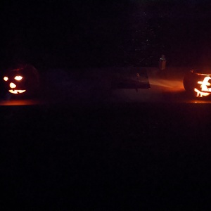 PXL_20201101_005258552.jpg