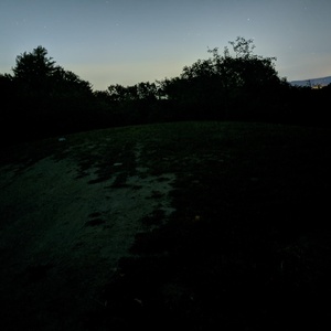 PXL_20201004_234407952.NIGHT.jpg