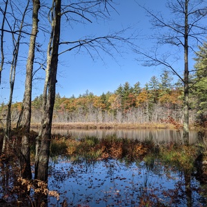 PXL_20201015_164749207.jpg