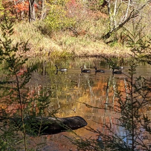 PXL_20201015_172107611.jpg