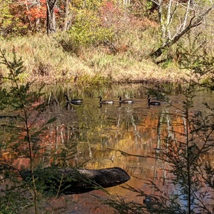 PXL_20201015_172109064.jpg