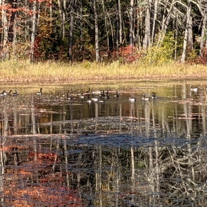 PXL_20201015_172243181.jpg