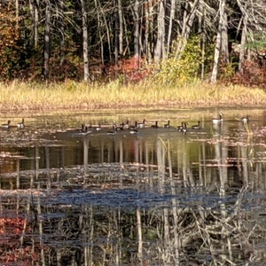 PXL_20201015_172252571.jpg