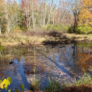 PXL_20201015_172454309.jpg