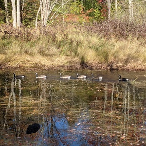 PXL_20201015_172509327.jpg