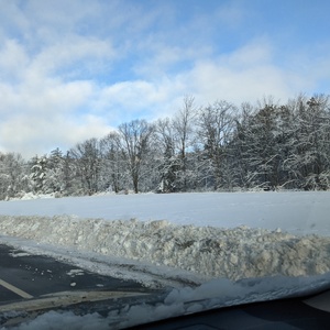 PXL_20201207_133423398.jpg