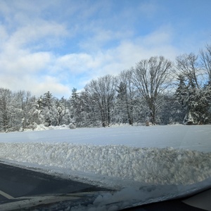 PXL_20201207_133425495.jpg