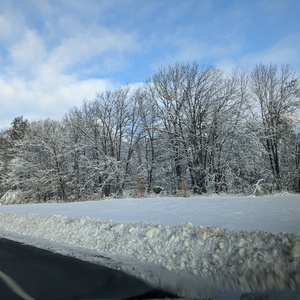 PXL_20201207_133428677.jpg