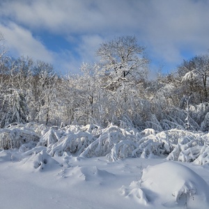 PXL_20201207_133533889.jpg