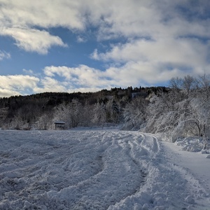 PXL_20201207_133538531.jpg