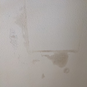 PXL_20210224_215017403.jpg