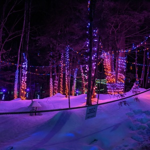 PXL_20210225_015739826.NIGHT.jpg