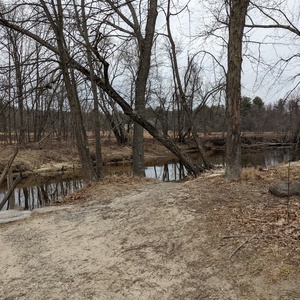 PXL_20210318_133822288.jpg