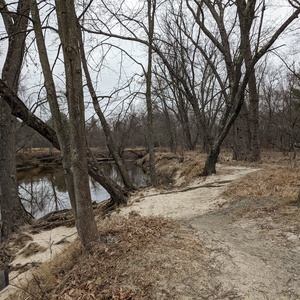 PXL_20210318_134105478.jpg