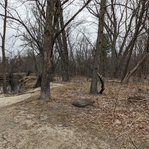 PXL_20210318_134131958.jpg