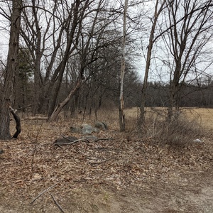 PXL_20210318_134133808.jpg