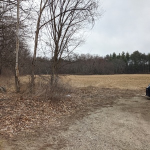 PXL_20210318_134135349.jpg