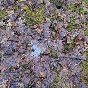 PXL_20210326_211940940.jpg