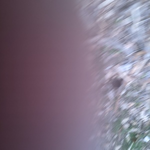 PXL_20210509_202511119.jpg