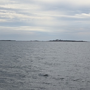 PXL_20210611_133040486.jpg