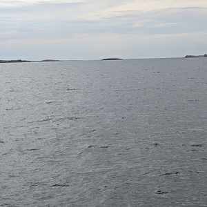PXL_20210611_133054027.jpg