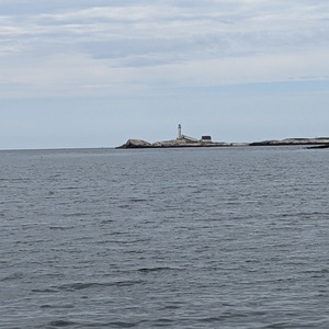 PXL_20210611_133734794.jpg