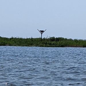PXL_20210724_162224694.jpg