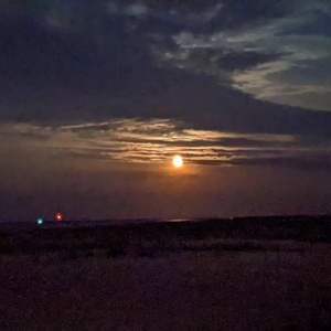 PXL_20210725_014435018.NIGHT.jpg