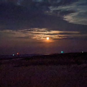 PXL_20210725_014522452.NIGHT.jpg