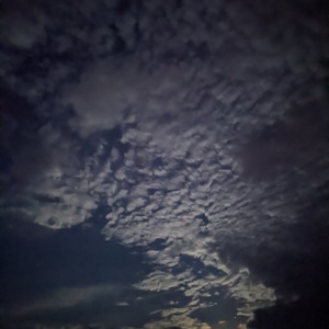 PXL_20210725_020334553.NIGHT.jpg