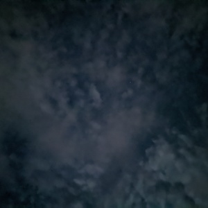 PXL_20210725_020733576.NIGHT.jpg