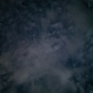 PXL_20210725_020814444.NIGHT.jpg