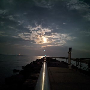 PXL_20210725_022119696.NIGHT.jpg