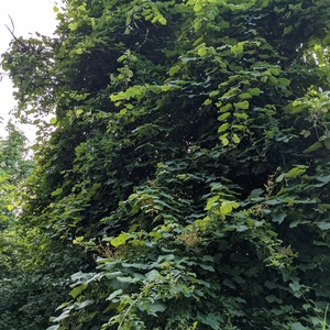 PXL_20210805_233440900.jpg