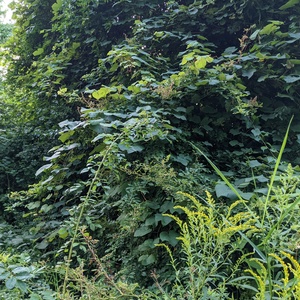 PXL_20210805_233444771.jpg